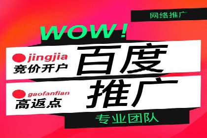 百度竞价包年推广的典型案例与效果展示